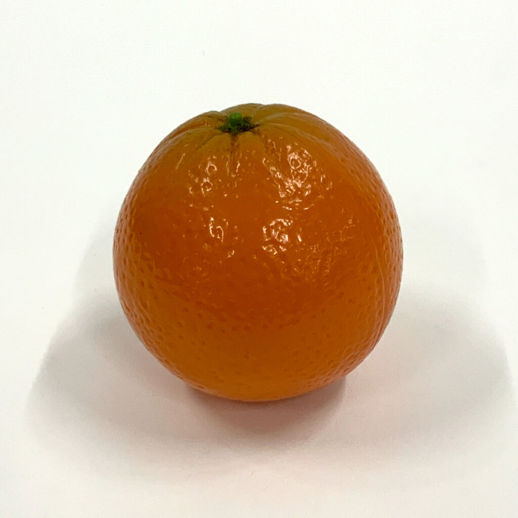 食品サンプル-78画像01